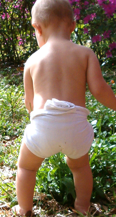 Rear view of the flat diaper.