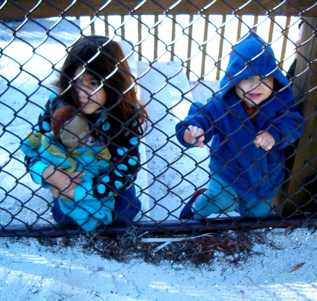 girls behind fence