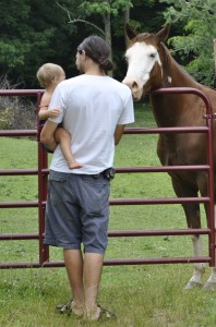 David and Annabelle meet a horse